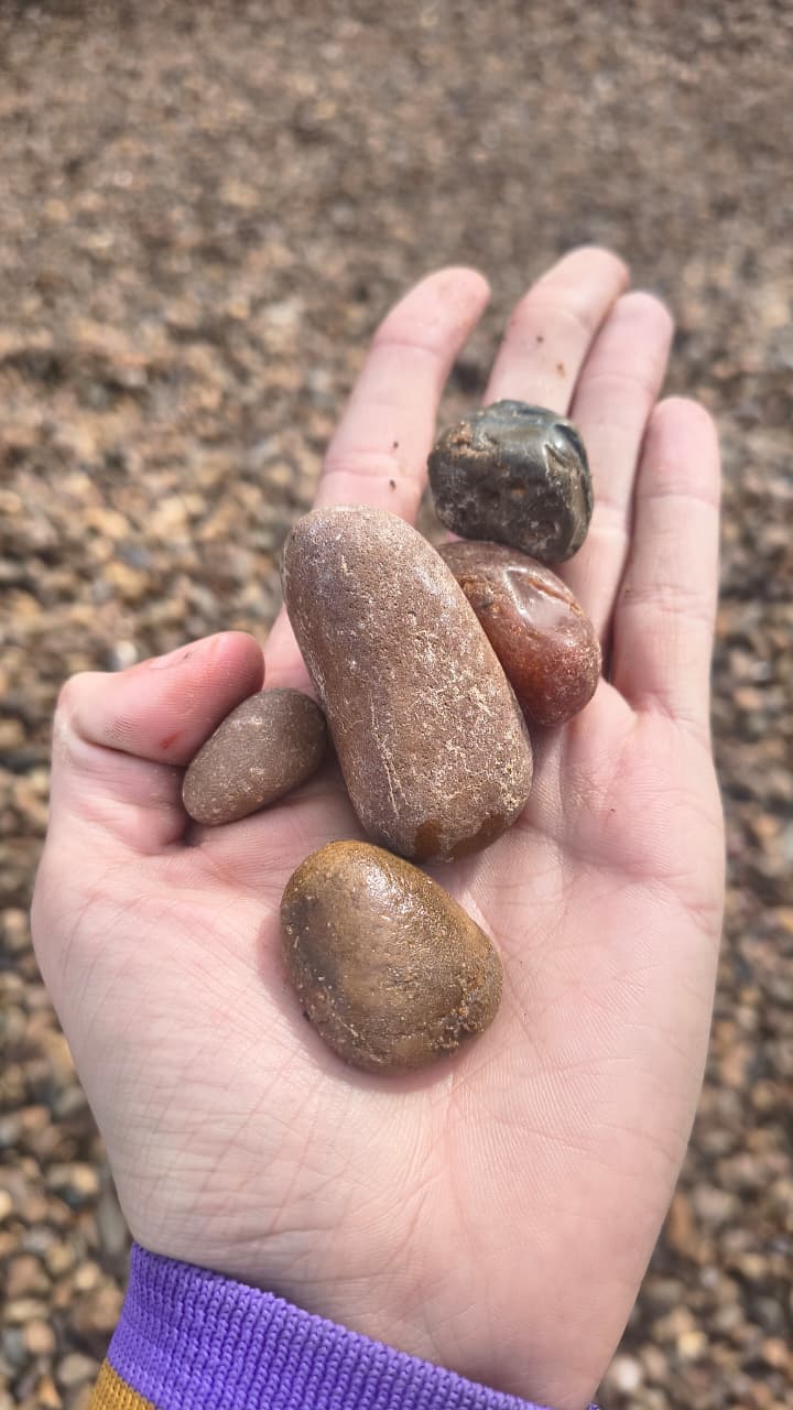 Pedras de seixo marrom